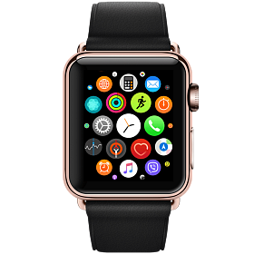 Диагностика Apple Watch S3